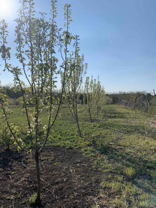 Продам земельну ділянку