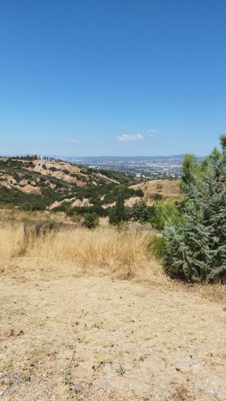 5750 m² Parcel
