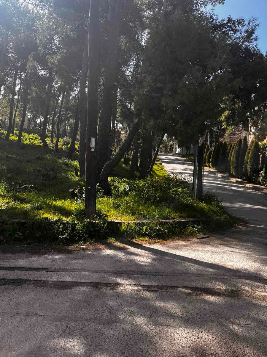 Οικόπεδο 800τ.μ.