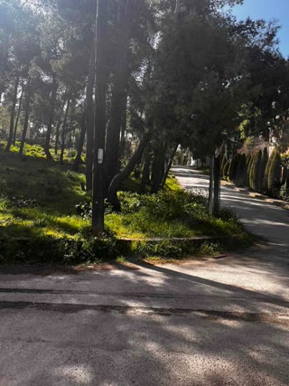 800 m² Plot