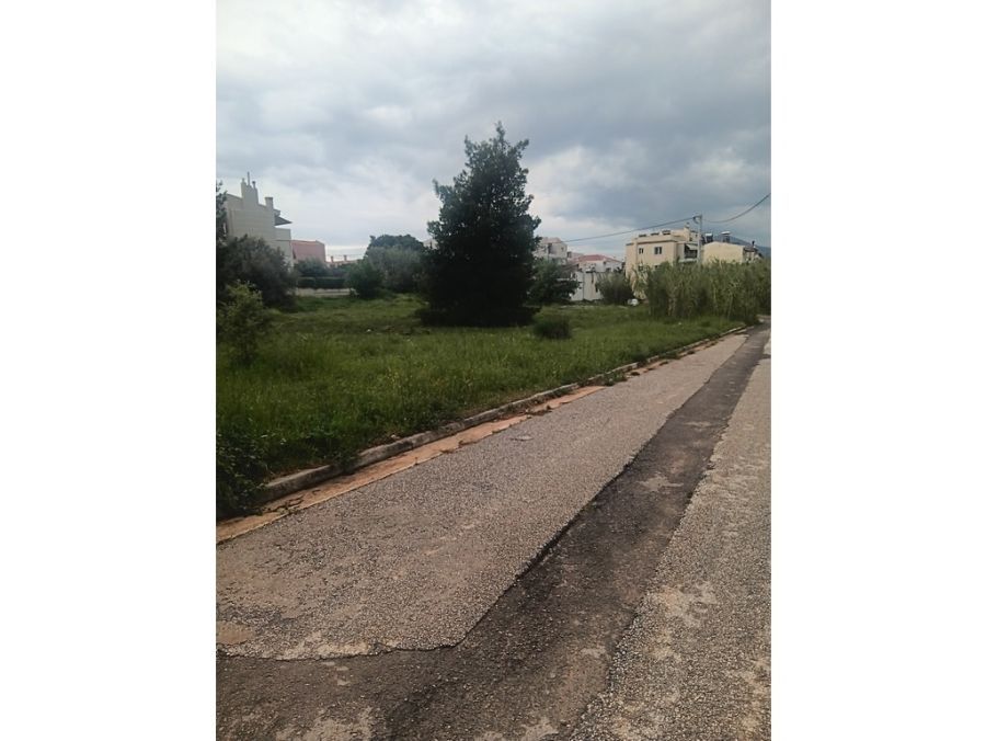 Οικόπεδο 2600τ.μ.