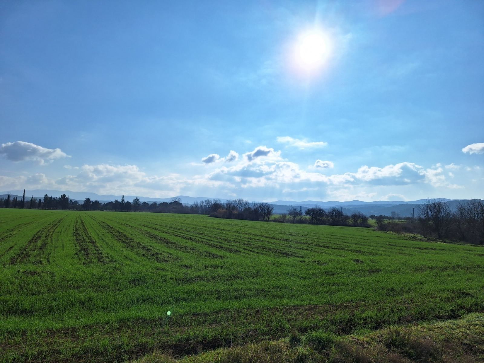 60000 m² Parcel