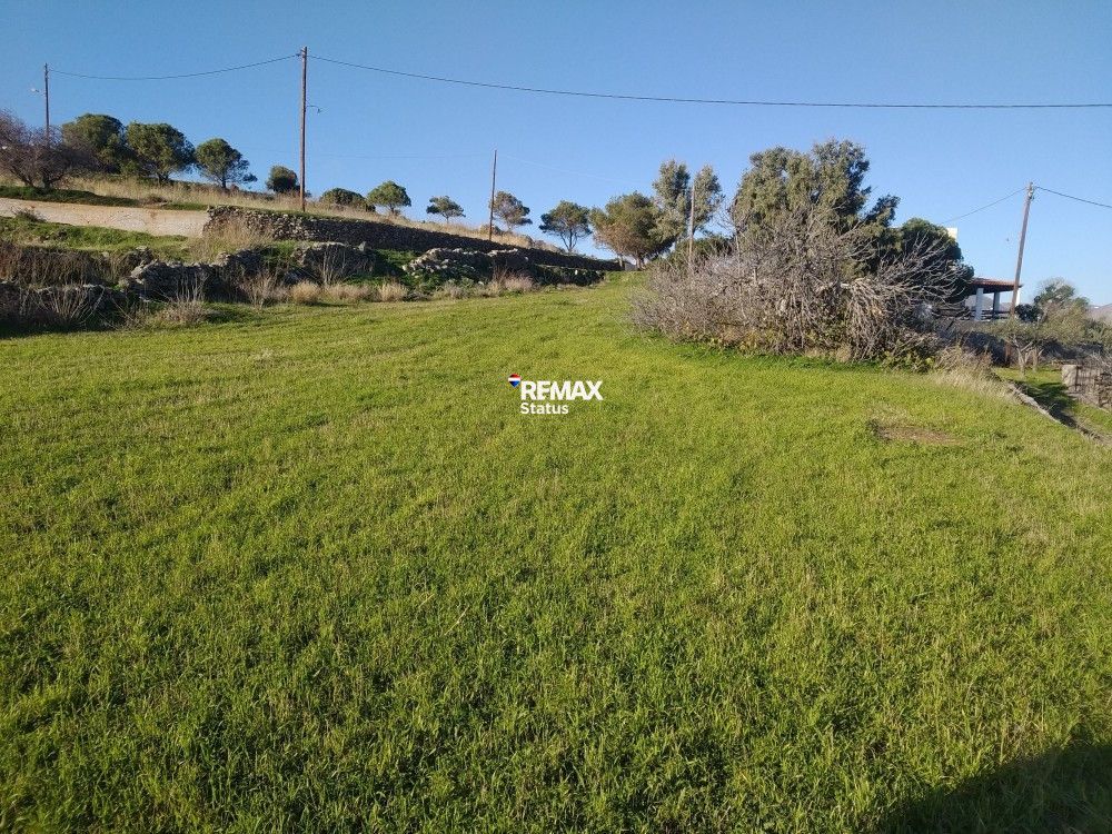 2782 m² Parcel