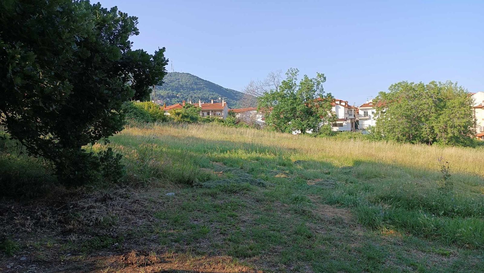 5740 m² Plot