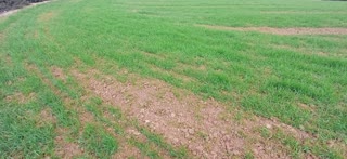 9500 m² Parcel