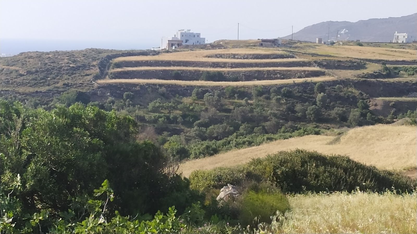4400 m² Parcel