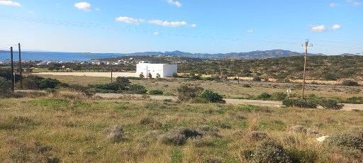 Αγροτεμάχιο 2000τ.μ.