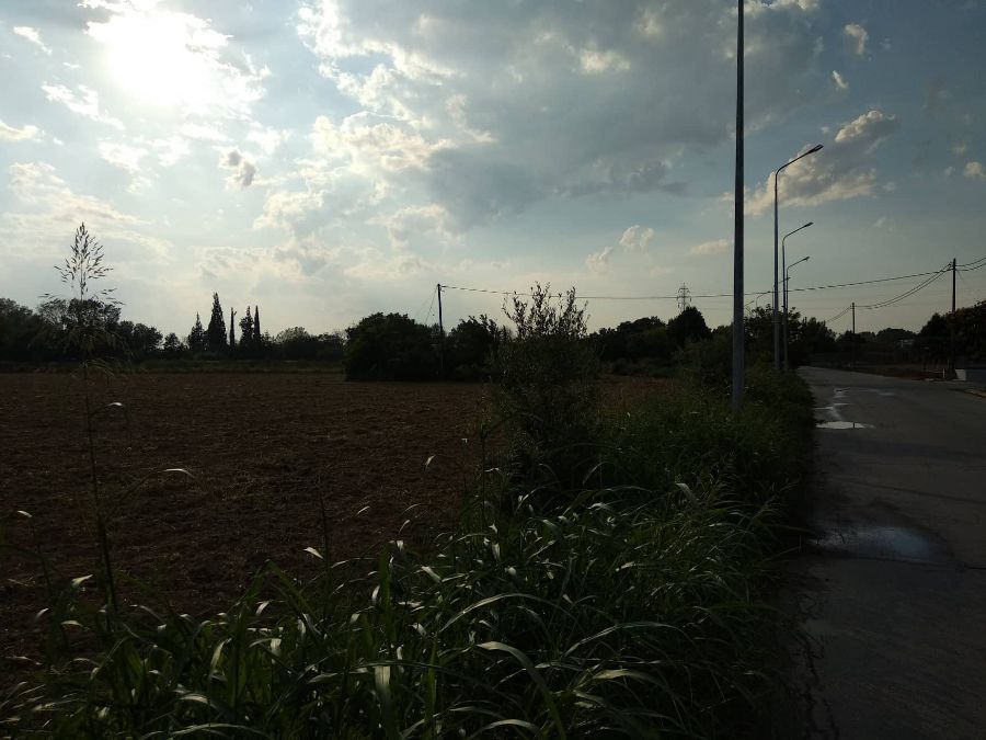 Участок, 12000 м²