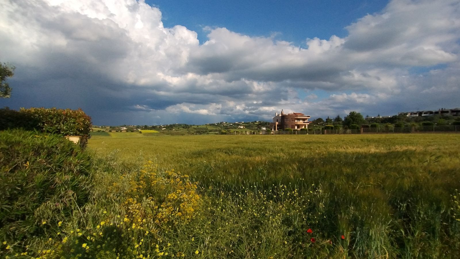 5600 m² Parcel