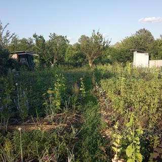 Продам дач