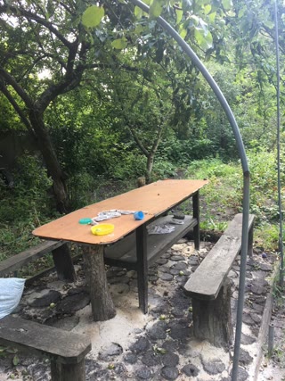 Дача радомысловкагарьевка  id_43457501