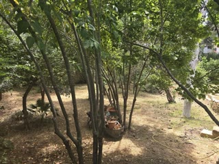 614 m² Plot