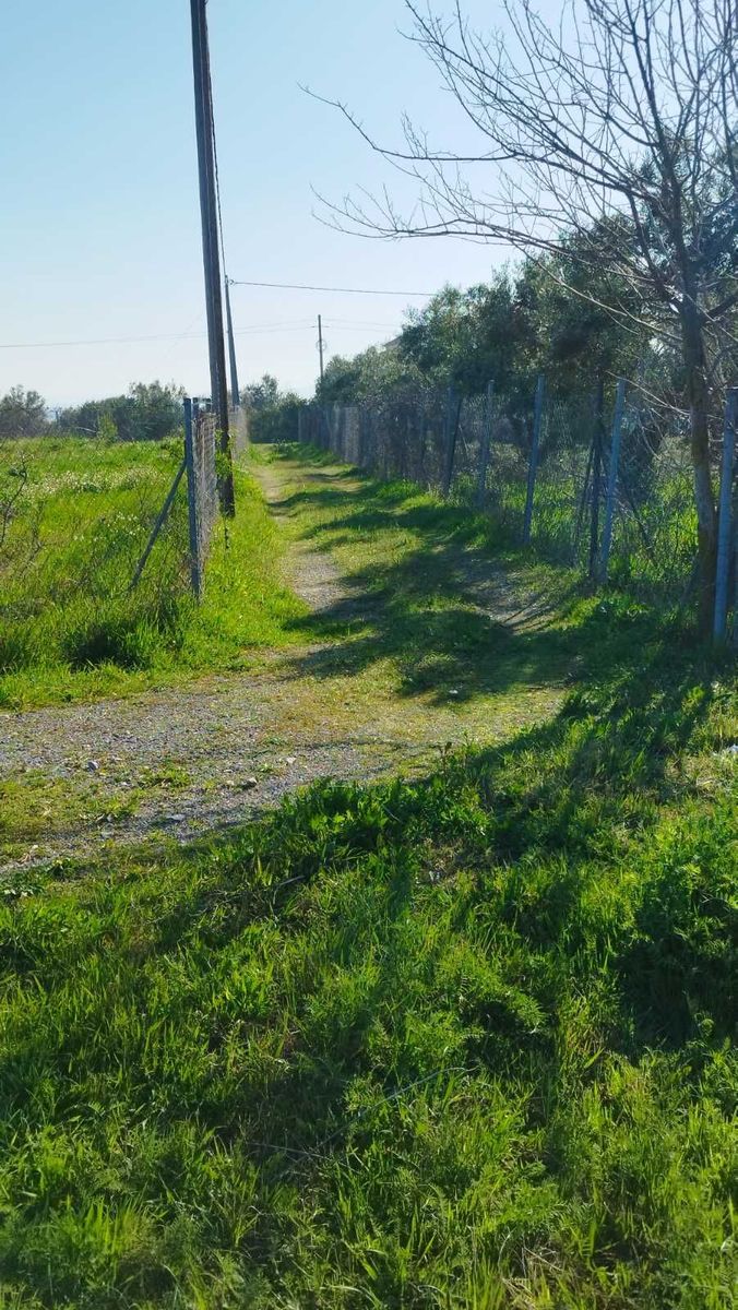 5800 m² Parcel