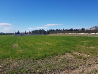 14000 m² Parcel