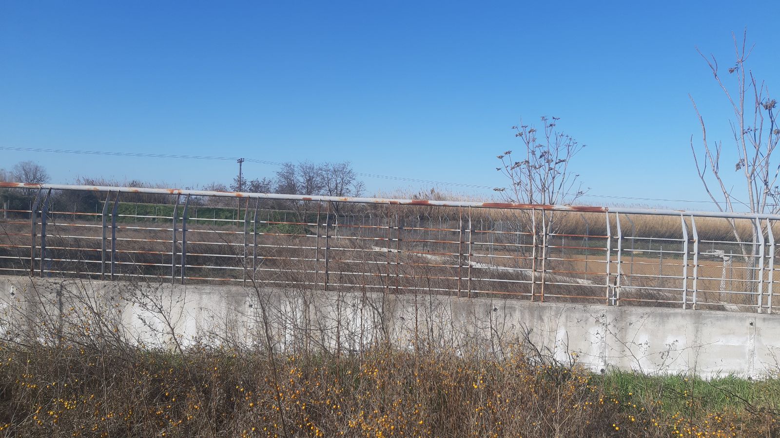 6480 m² Parcel