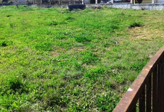 710 m² Plot