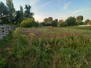 for sale land plot