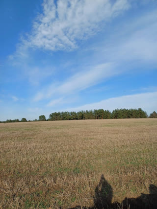 Продам земельну ділянку м. Мерефа р-н Поле чудес, вул. Різдвяна