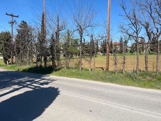 10740 m² Parcel