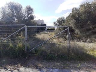 710 m² Plot