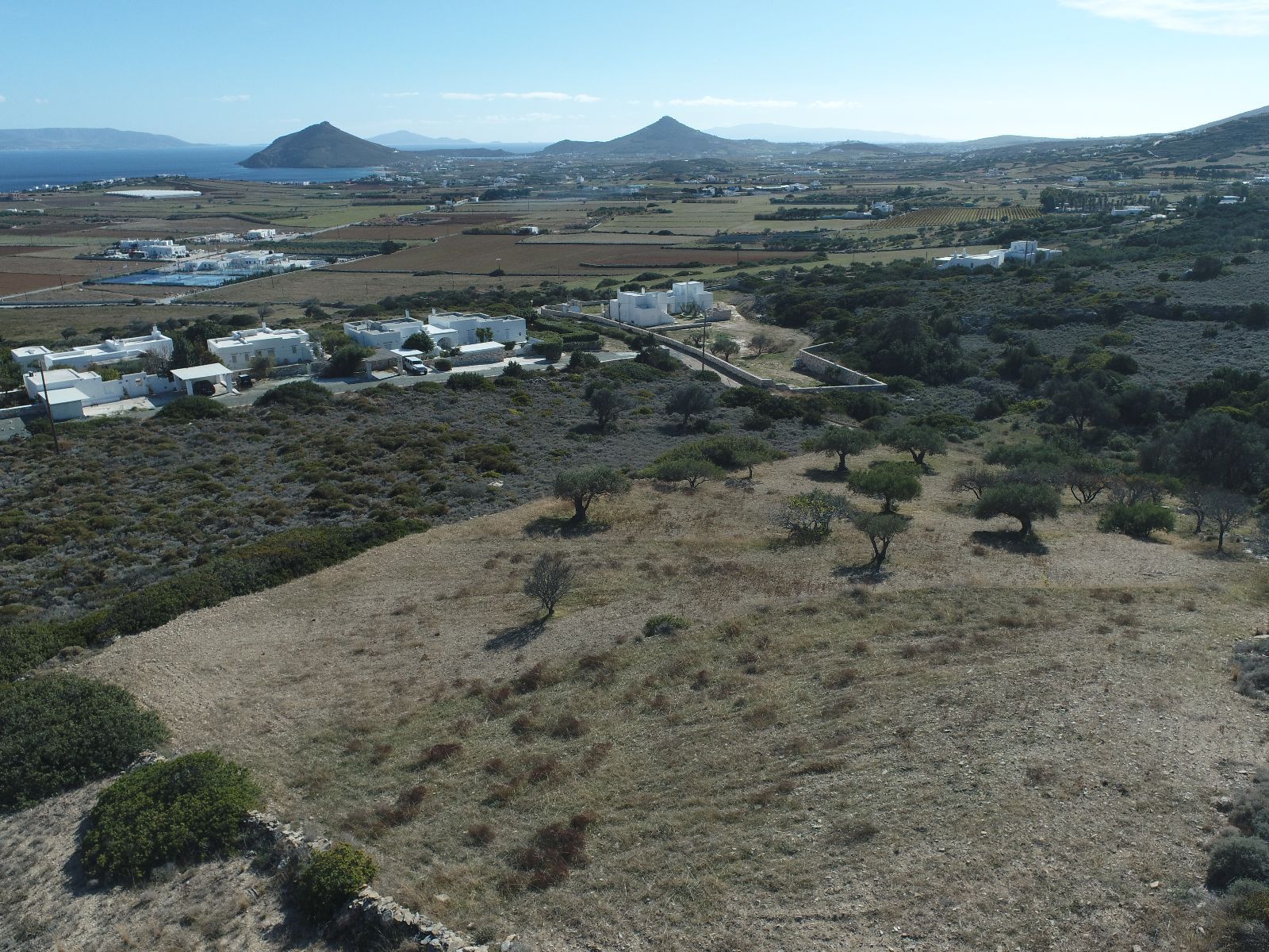 4000 m² Plot