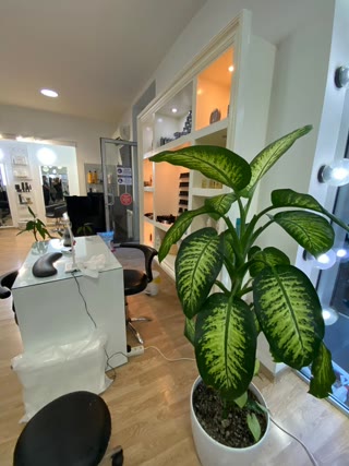 Universal commercial space for rent