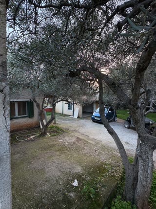 322 m² Plot