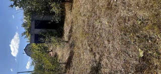 For sale land near Kharkiv