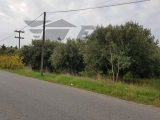 Участок 4200 м²