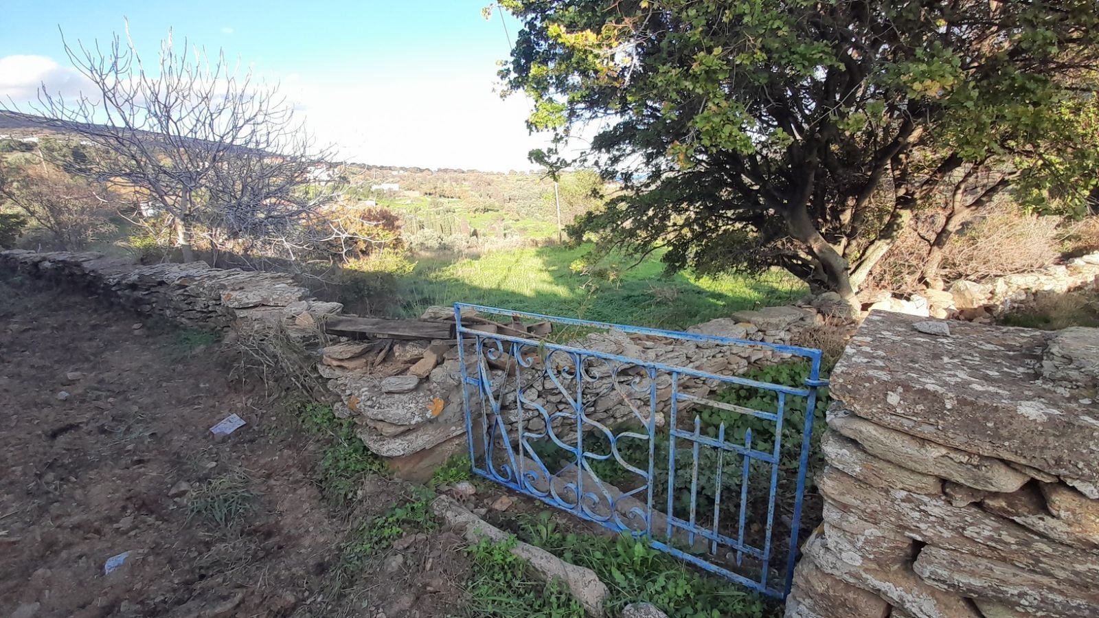 2300 m² Plot