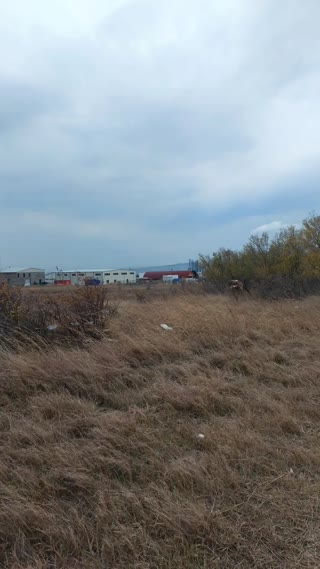 Несельскохозяйственная земля на продажу в Лило
