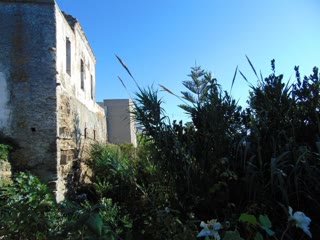 260 m² Detached House