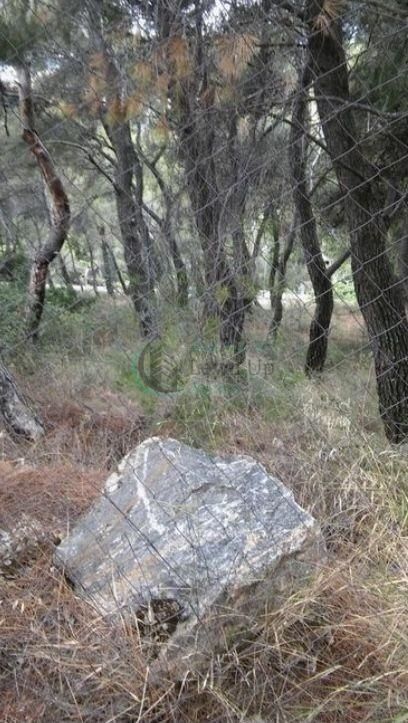 Οικόπεδο 1.072 τ.μ.