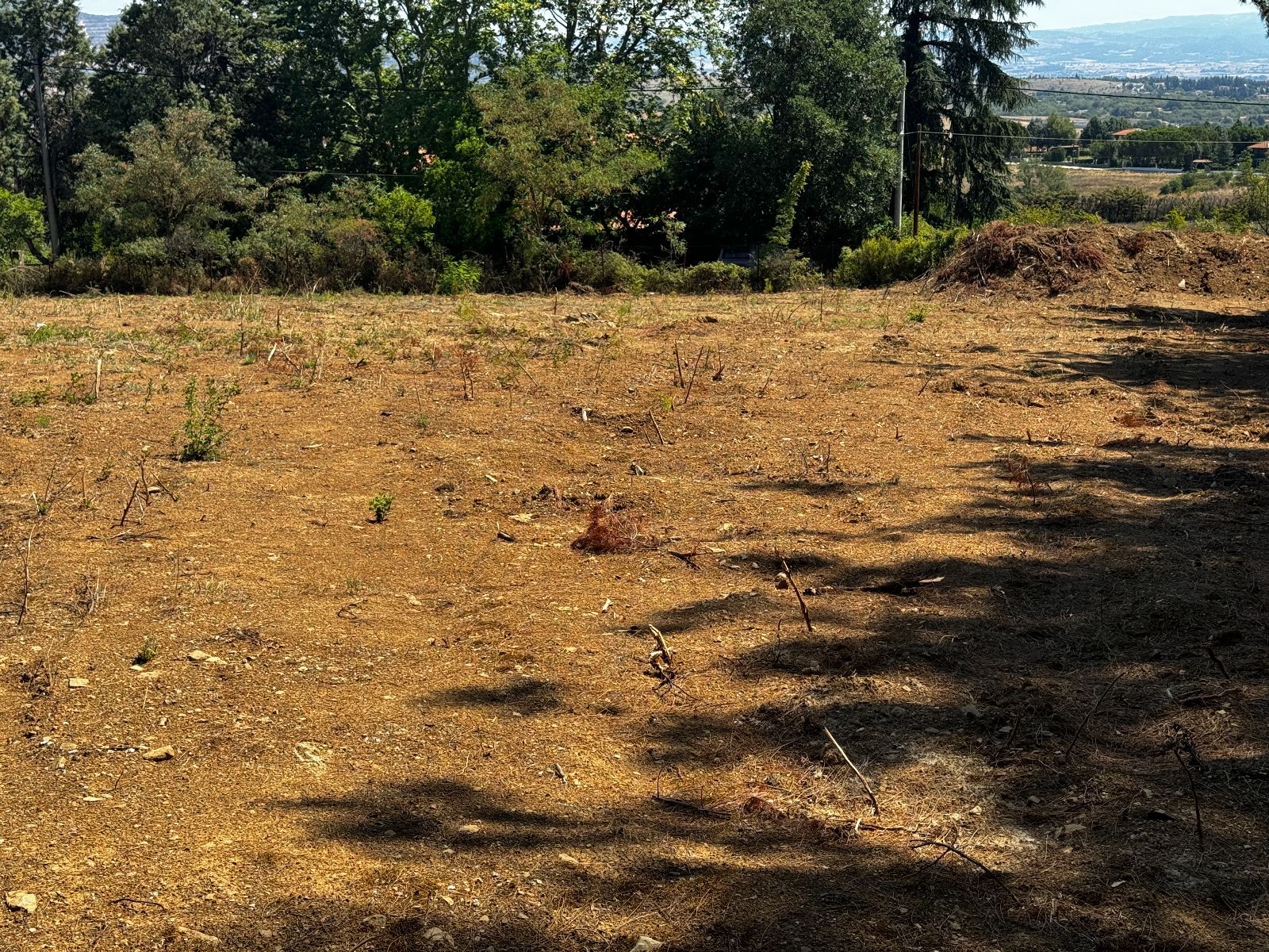 Οικόπεδο 3600 τ.μ.