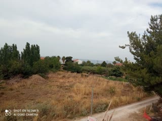 7312 m² Parcel