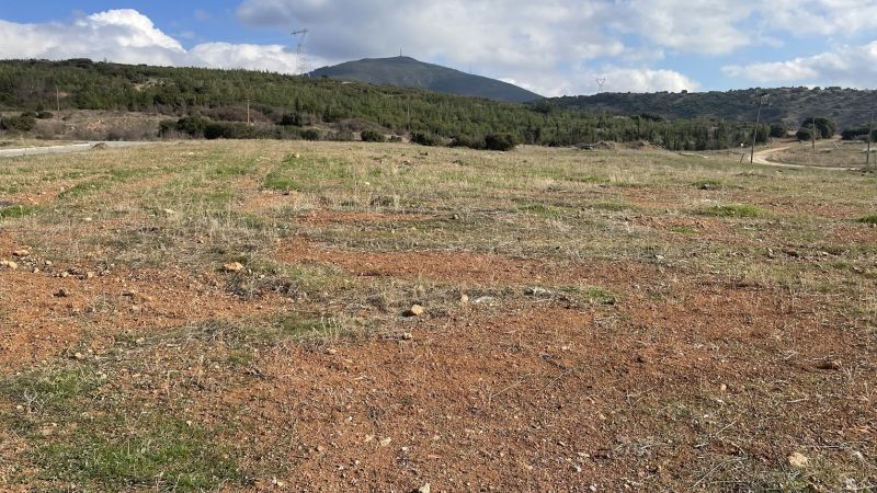 2997 m² Plot