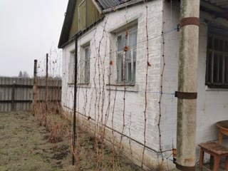 Продам два дома