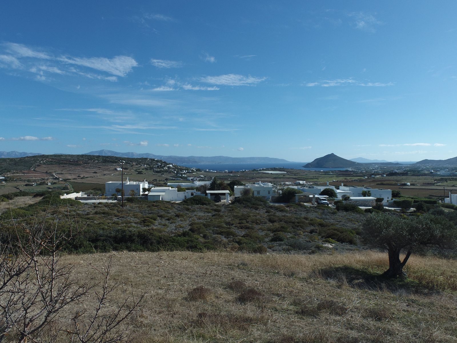 4000 m² Plot