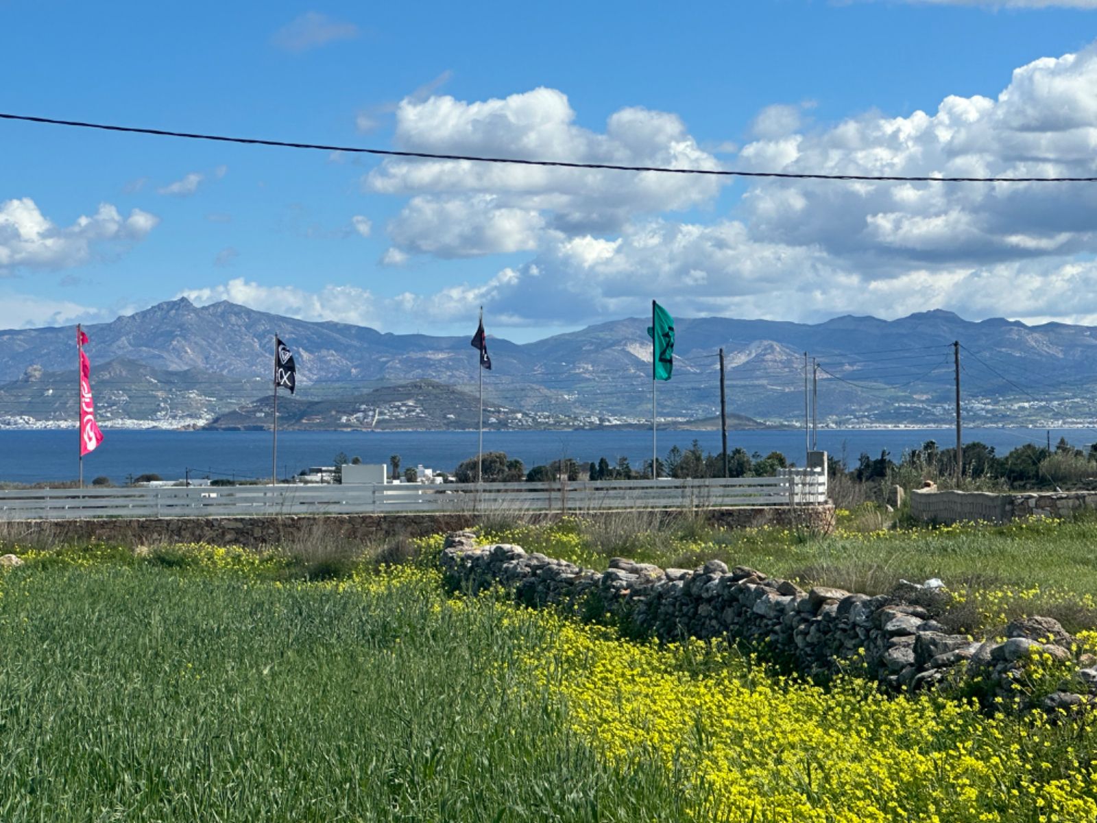 Αγροτεμάχιο 7000τ.μ.