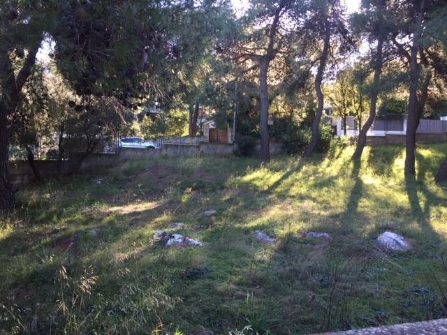 Οικόπεδο 1000τ.μ.