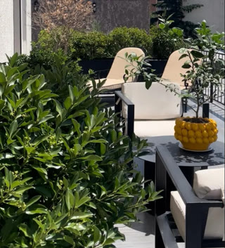 2-room apartment for rent in Vake