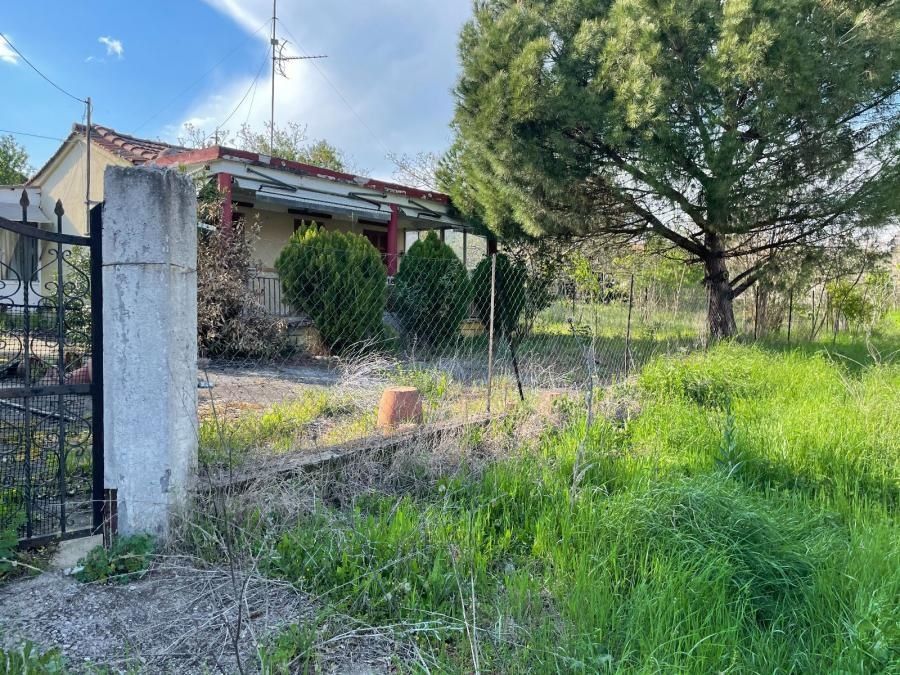 500 m² Plot