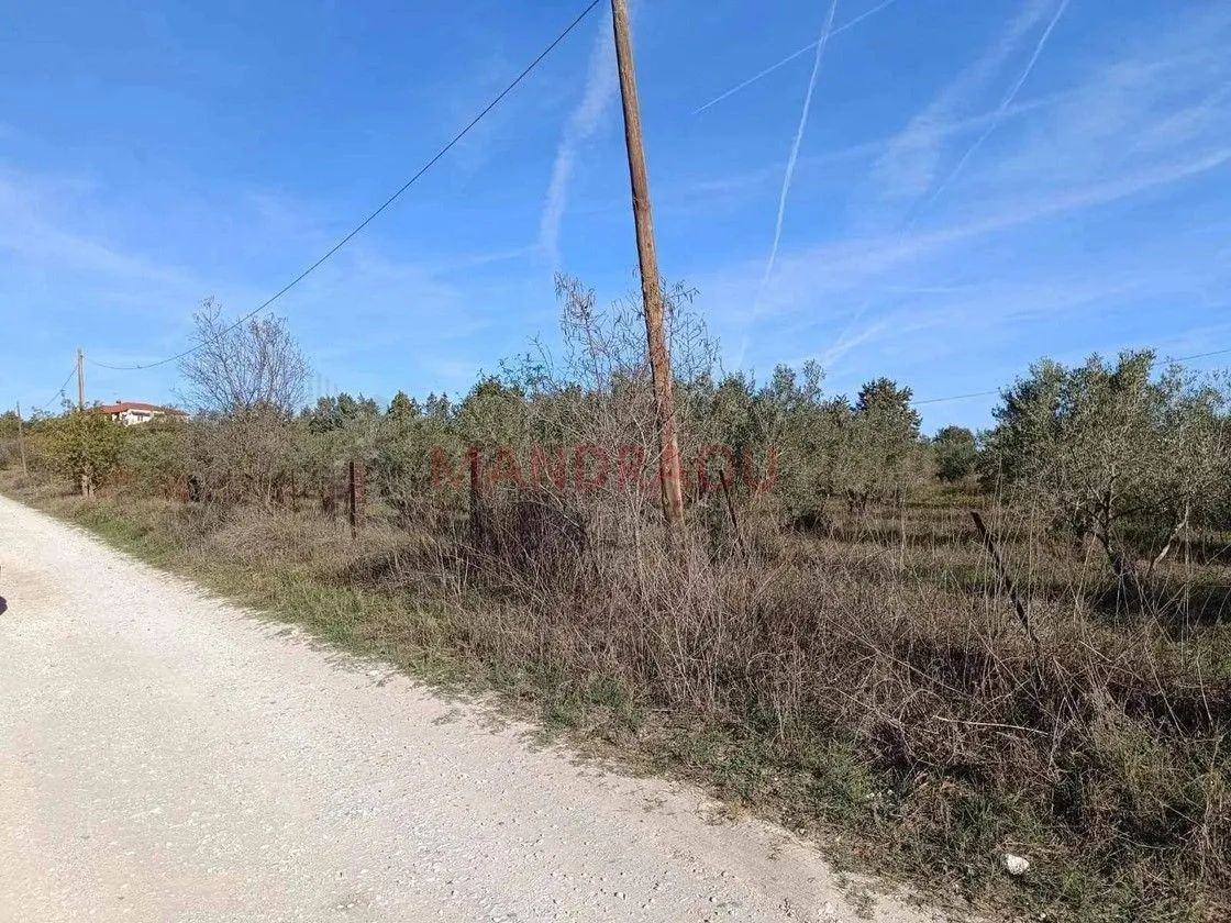 7500 m² Parcel