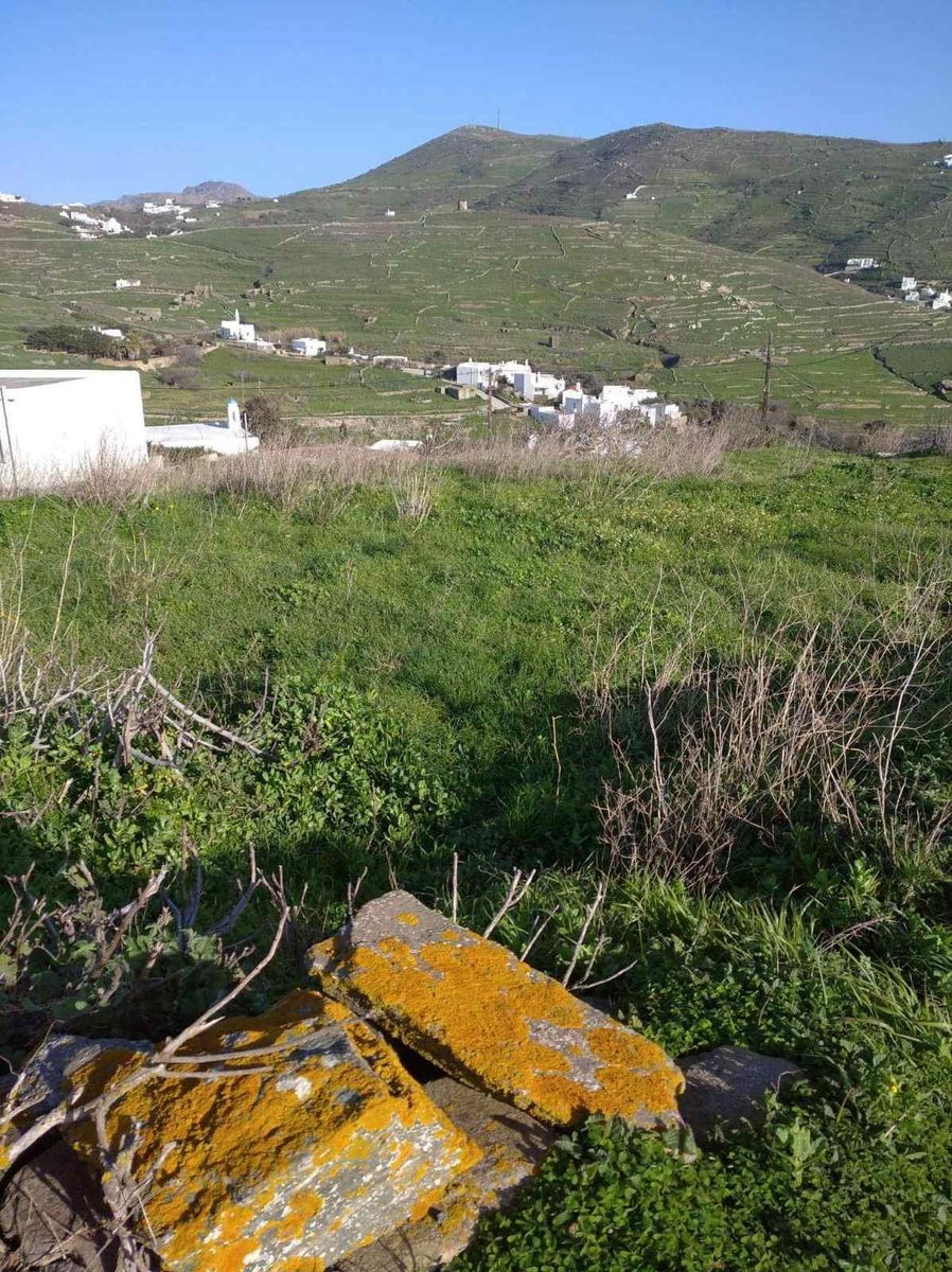 Οικόπεδο 600 τ.μ.