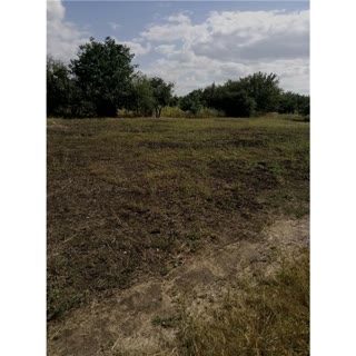 For sale: garden plot. 12 acres in the gardening association Mercy of Chuhuiv District