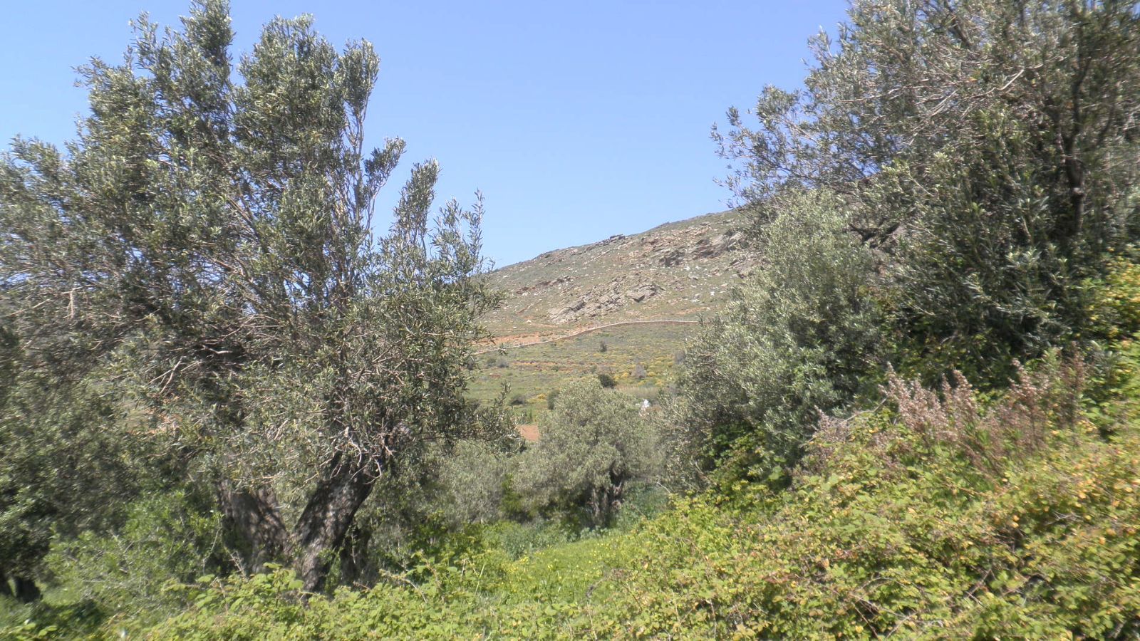 Οικόπεδο 2700τ.μ.