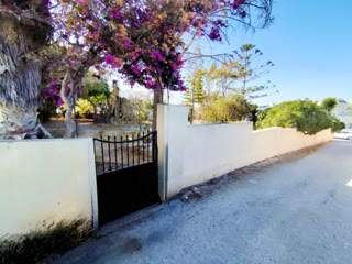 550 m² Plot