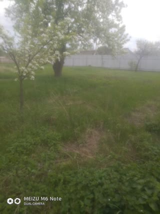 Продам будинок або обміняю на будь-який ваз