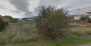 1000 m² Plot