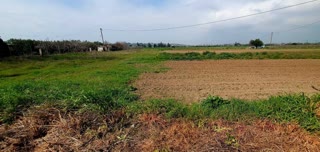 5000 m² Parcel